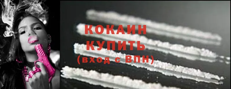 Cocaine Fish Scale  mega ONION  Новосиль  что такое  